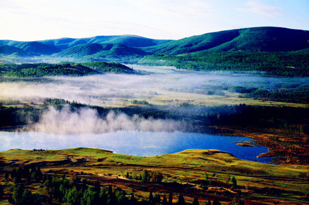 ec1b04c3f04611d2ffffffffc8d65eac.jpg_r_720x400x95_c6e6b639.jpg