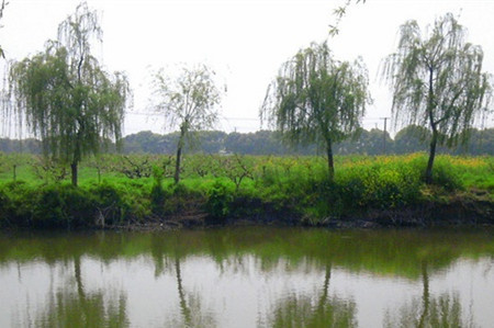 上海四季百果园