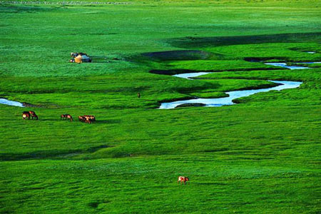 灯笼河草原