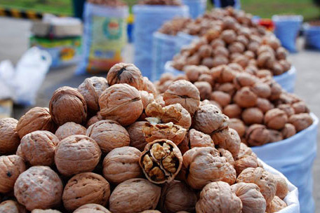 灵芝堂土特产商行