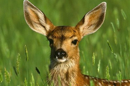 铁布自然保护区