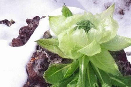 雪华精品高原特产