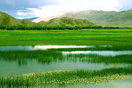 铁布自然保护区