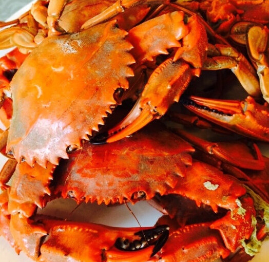 老九渔民海鲜·海鲜·家常菜