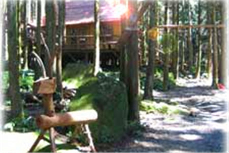 马武督探索森林