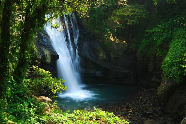 内洞森林游乐区