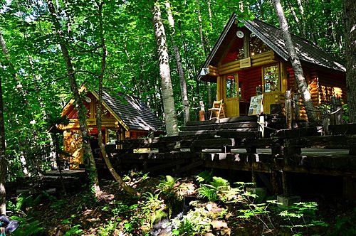 森林精灵的阳台