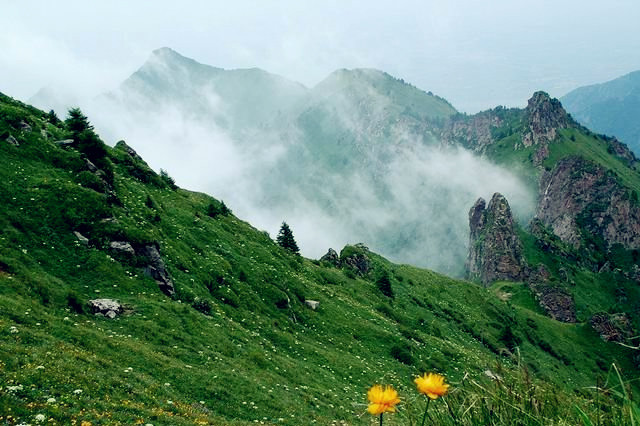 小五台山国家级自然保护区
