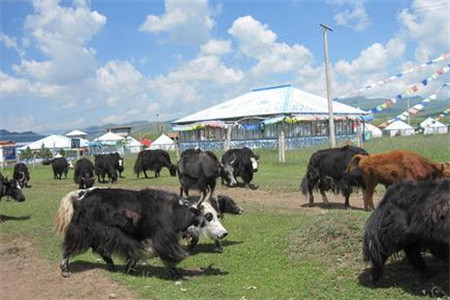 色达县高寒牧区特色产品交易市场