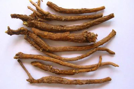 黄龙仙山中药材展销中心