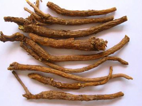 黄龙仙山中药材展销中心