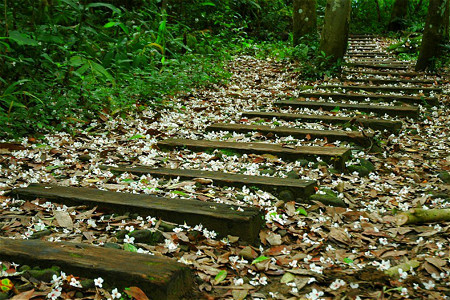 蓬莱溪自然生态园区