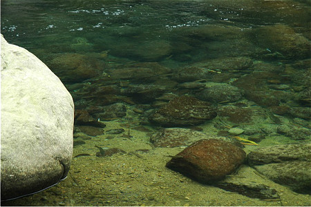 蓬莱溪自然生态园区