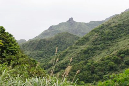 无耳茶壶山登山步道
