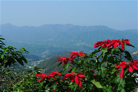 马那邦山登山步道