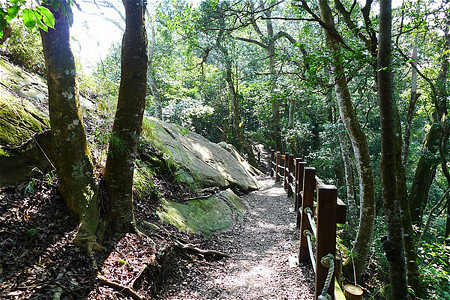 马那邦山登山步道