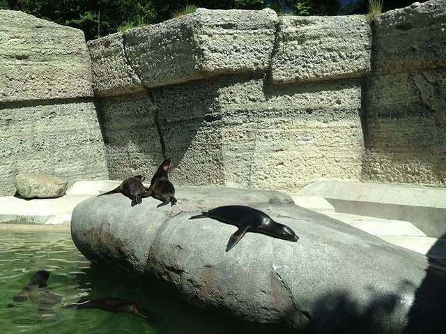 海拉布伦动物园