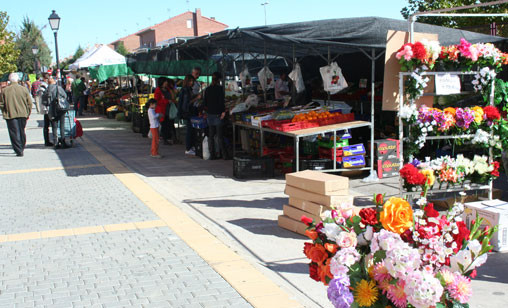 Mercadillo Marqués de Viana