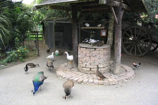 柳岸野生动物保护区