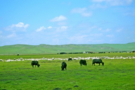 红原—若尔盖大草原