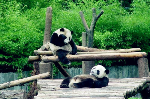 黑水河省级自然保护区