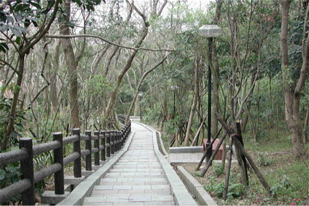 新竹市十八尖山