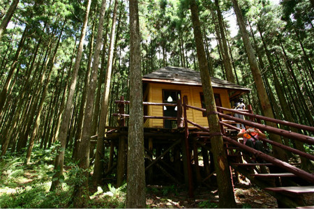 马武督探索森林