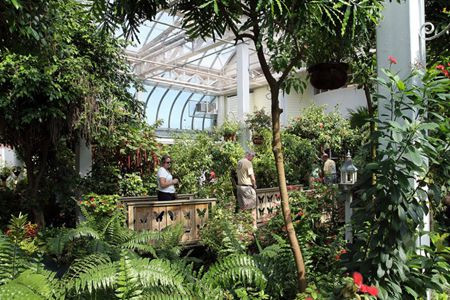 基韦斯特蝴蝶自然温室