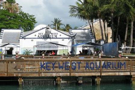 基韦斯特水族馆