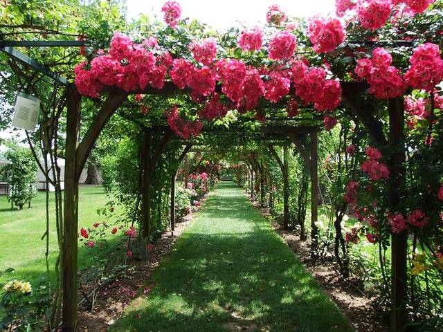 Prieure de Saint-Cosme