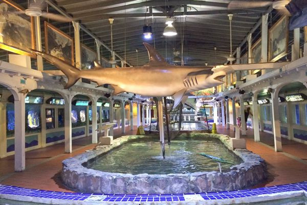 基韦斯特水族馆