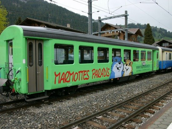 罗什德内土拨鼠乐园