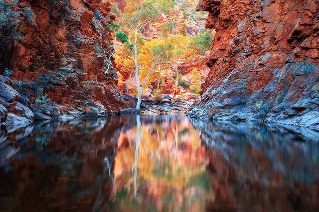 西麦克唐奈尔国家公园