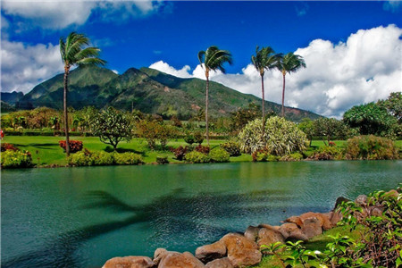 毛伊岛热带植物园