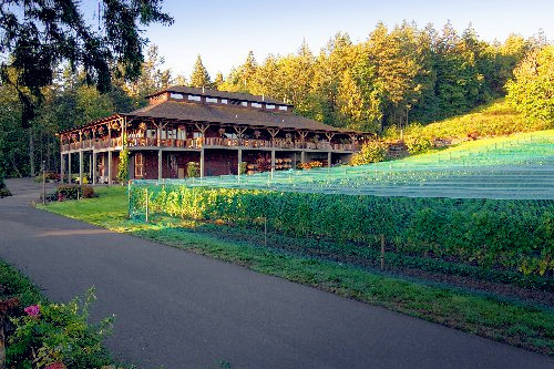 Church & State Wines