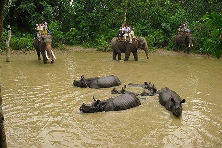 国家公园游客中心