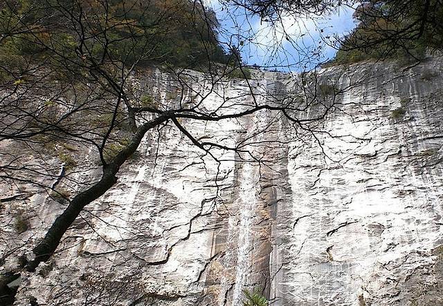 朱雀国家森林公园