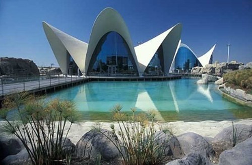 瓦伦西亚海洋公园