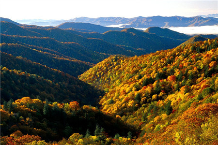 万花山瀑布公园