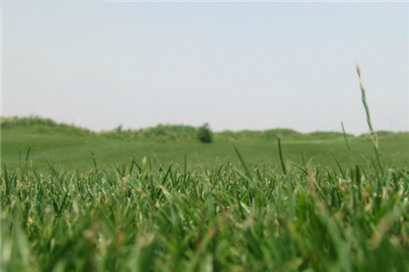 渭河城市运动公园