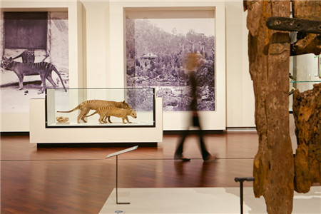 维多利亚女王博物馆和美术馆