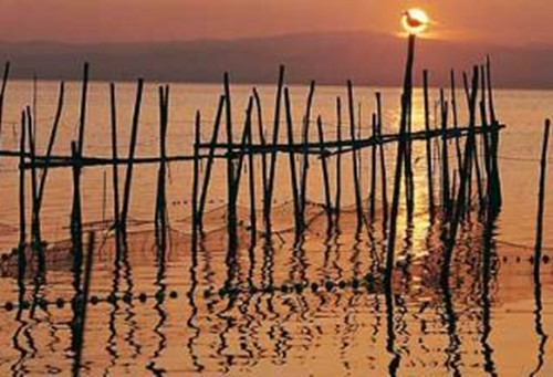 阿尔武费拉自然公园