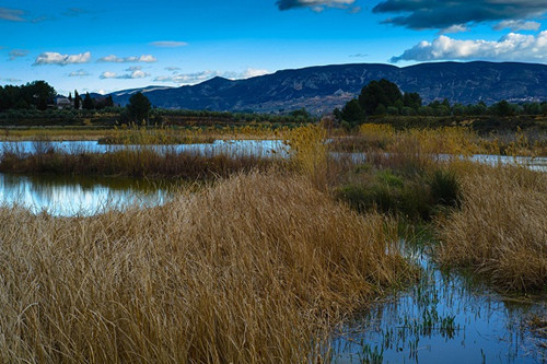 阿尔武费拉自然公园