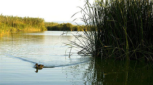 阿尔武费拉自然公园