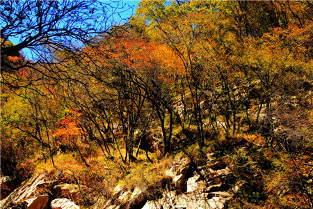 太平国家森林公园