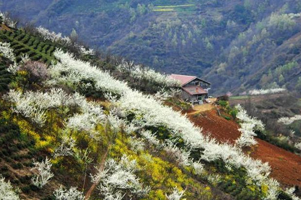 午子山风景名胜区
