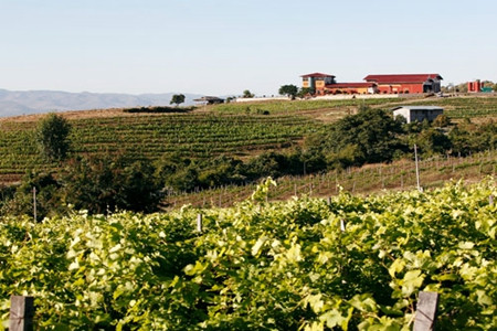 红山葡萄酒庄园