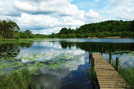 杭州湾国家湿地公园