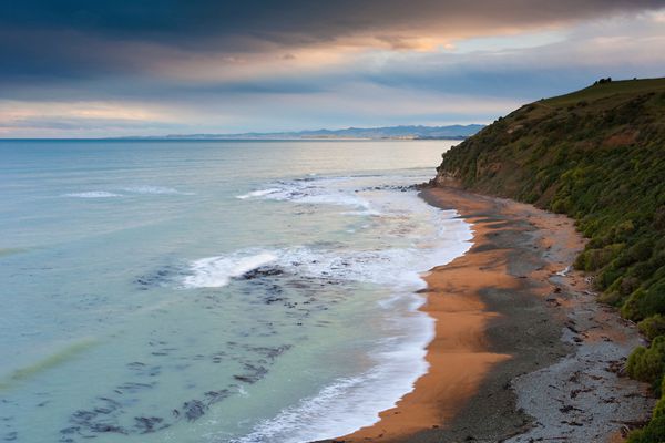 黄眼企鹅登陆地