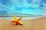 Star Beach